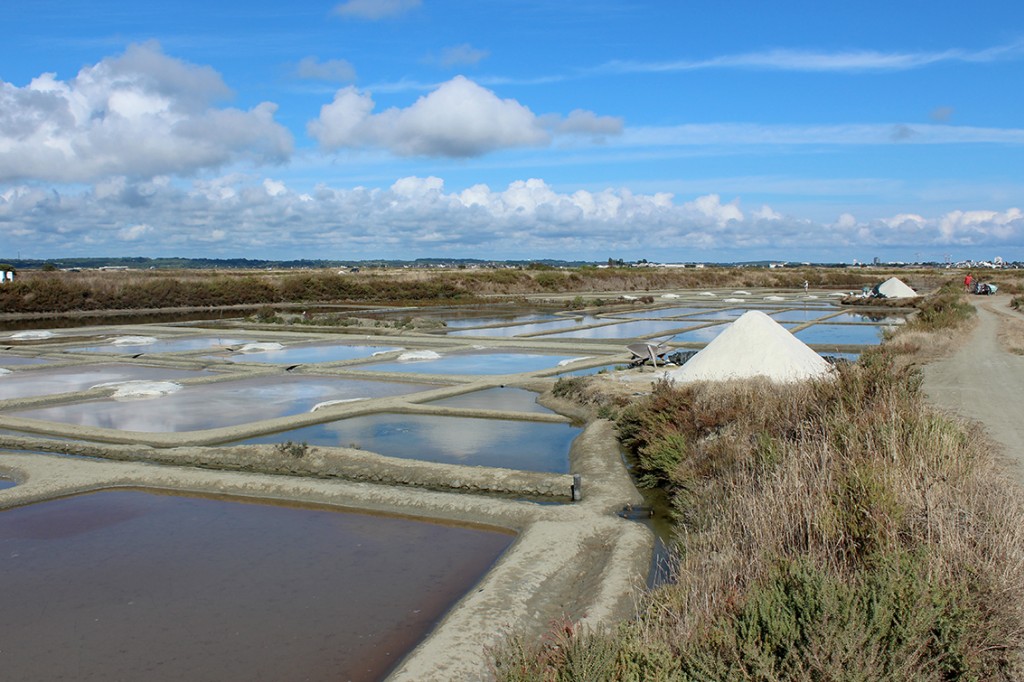 Le Paludier vendangées à la main et non raffiné Sel de Guérande