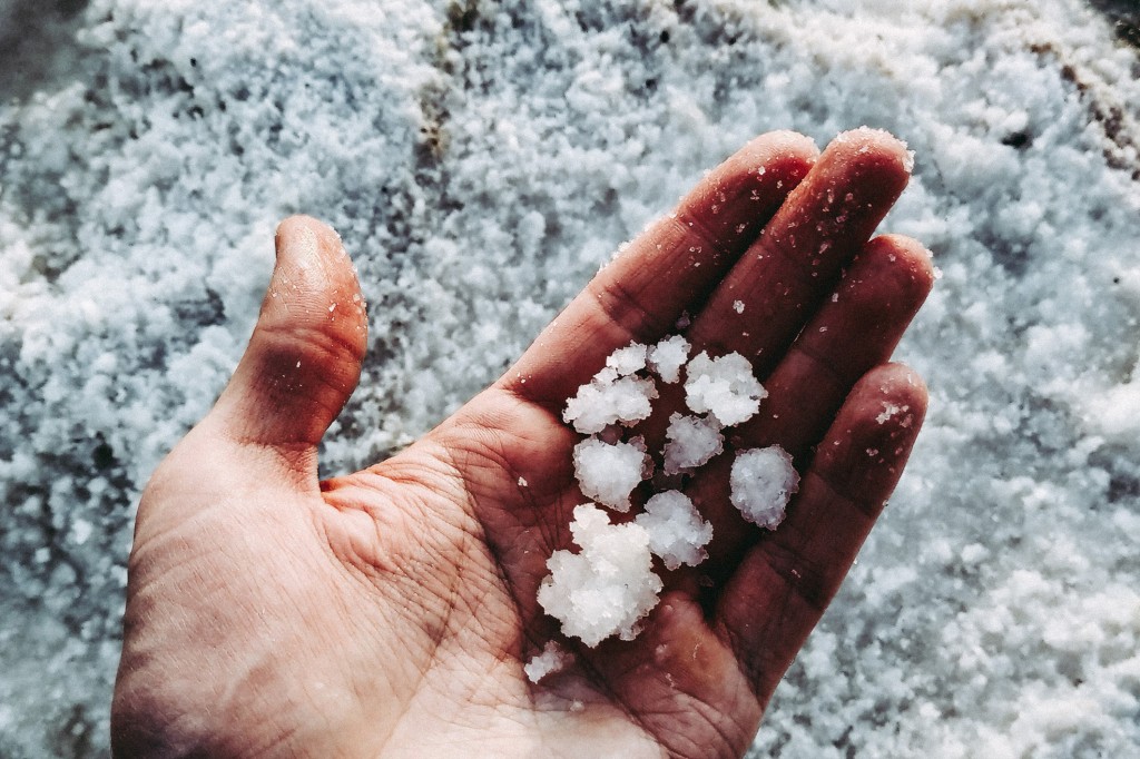 Sel ou Fleur de sel  de Guérande ? On vous explique tout !