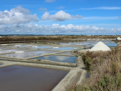 Guérande salt and its vocabulary!