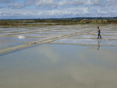 Lieux à visiter en Loire-Atlantique selon Etin'Sel