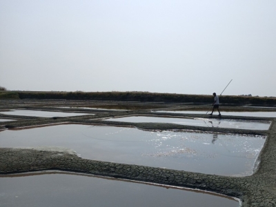 Mon bonheur de travailler dans les marais salants