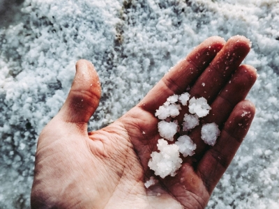 Salt or Fleur de sel from Guérande ? We will explain everything !